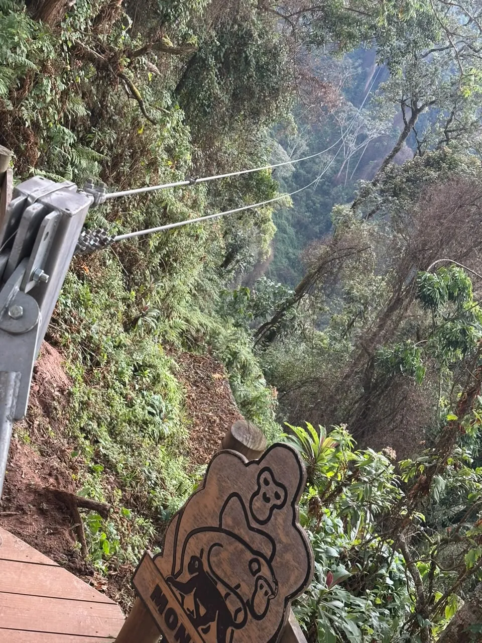 Forest scenery and zipline cables at Nyungwe