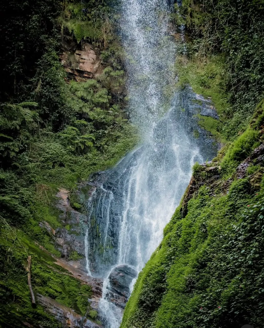 Nyungwe waterfall
